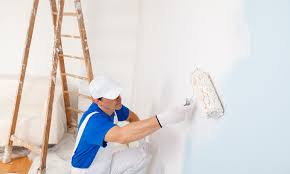 Why Do You Require to Employ a Professional Painter?