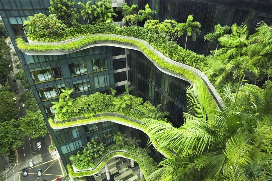 Dos and Don’ts of Landscaping in Singapore