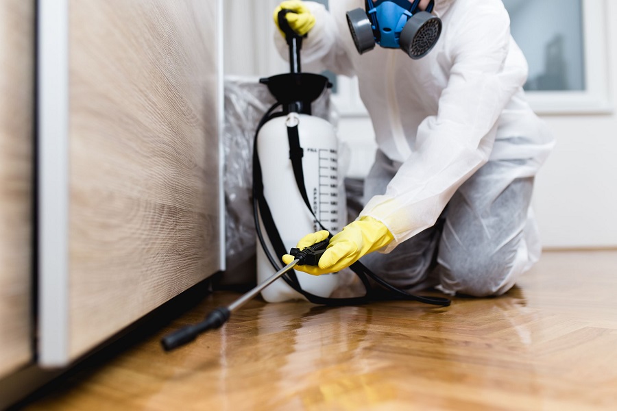 What Skills Do You Need To Start A Pest Control Business