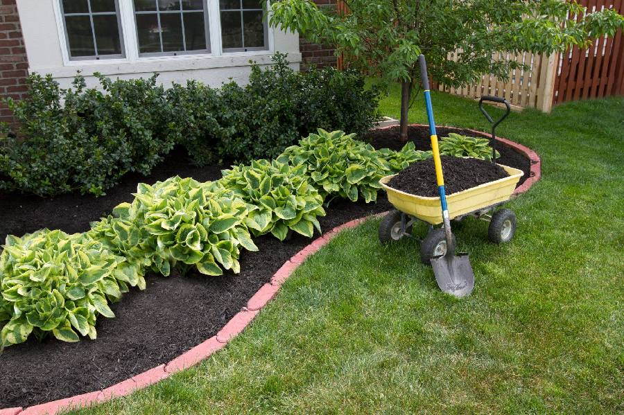 What Are The Different Types and Advantages of Using Mulch For Your Yard Garden?