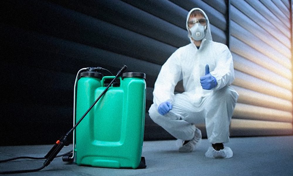 How Professional Pest Control Services Can Help