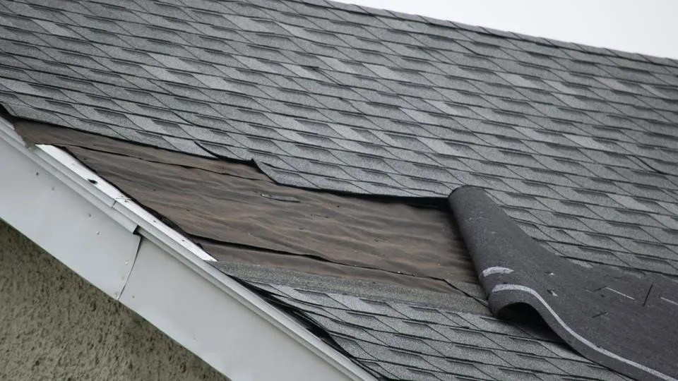Know Your Roof: Different Parts of a Roof Explained